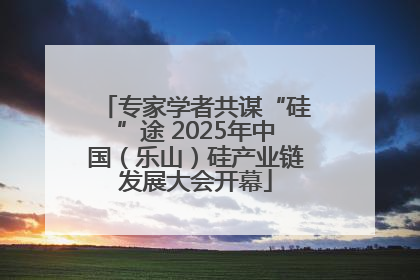 专家学者共谋“硅”途 2025年中国（乐山）硅产业链发展大会开幕