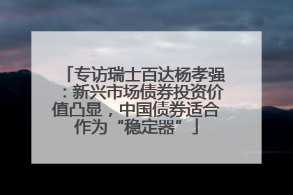 专访瑞士百达杨孝强：新兴市场债券投资价值凸显，中国债券适合作为“稳定器”
