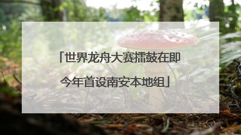 世界龙舟大赛擂鼓在即 今年首设南安本地组