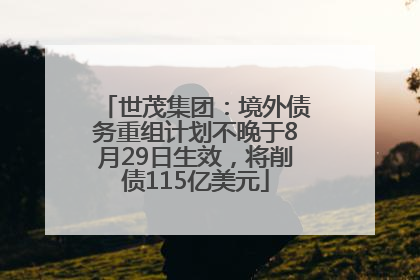 世茂集团：境外债务重组计划不晚于8月29日生效，将削债115亿美元