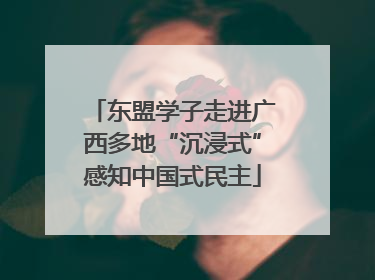 东盟学子走进广西多地“沉浸式”感知中国式民主