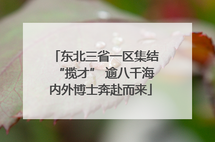 东北三省一区集结“揽才” 逾八千海内外博士奔赴而来