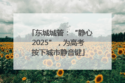 东城城管：“静心2025”，为高考按下城市静音键