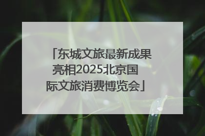 东城文旅最新成果亮相2025北京国际文旅消费博览会
