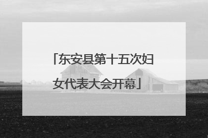东安县第十五次妇女代表大会开幕