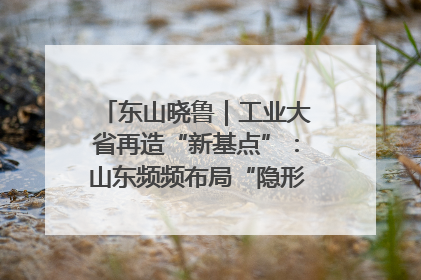 东山晓鲁｜工业大省再造“新基点”：山东频频布局“隐形冠军”背后