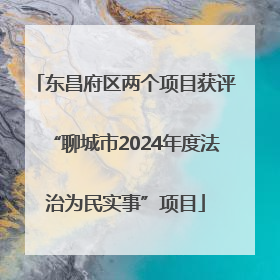 东昌府区两个项目获评“聊城市2024年度法治为民实事”项目