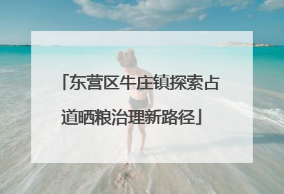东营区牛庄镇探索占道晒粮治理新路径