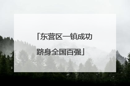 东营区一镇成功跻身全国百强