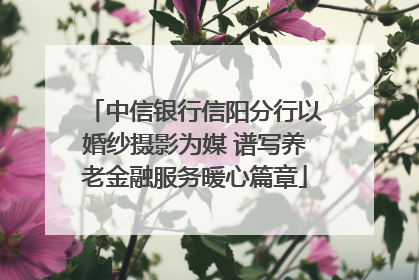 中信银行信阳分行以婚纱摄影为媒 谱写养老金融服务暖心篇章