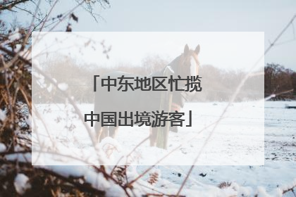 中东地区忙揽中国出境游客