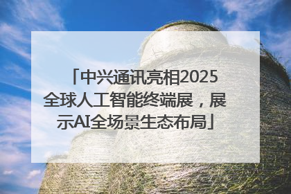 中兴通讯亮相2025全球人工智能终端展，展示AI全场景生态布局