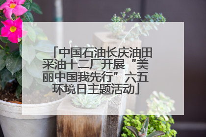 中国石油长庆油田采油十二厂开展“美丽中国我先行”六五环境日主题活动
