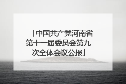 中国共产党河南省第十一届委员会第九次全体会议公报