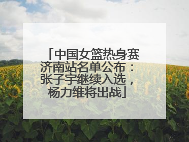 中国女篮热身赛济南站名单公布：张子宇继续入选，杨力维将出战