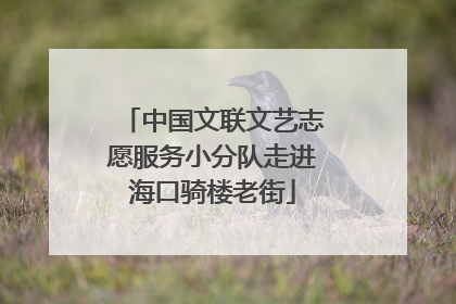 中国文联文艺志愿服务小分队走进海口骑楼老街