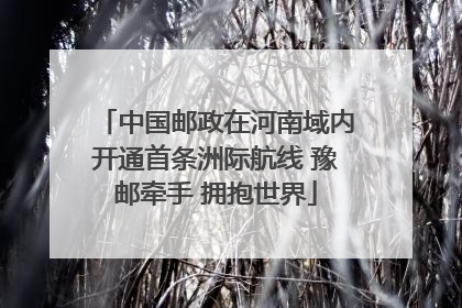 中国邮政在河南域内开通首条洲际航线 豫邮牵手 拥抱世界
