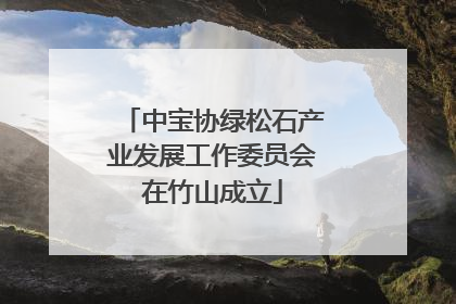 中宝协绿松石产业发展工作委员会在竹山成立
