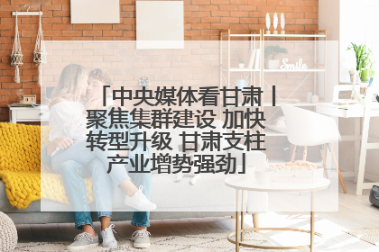 中央媒体看甘肃丨聚焦集群建设 加快转型升级 甘肃支柱产业增势强劲