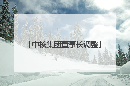 中核集团董事长调整