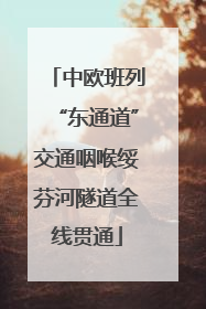 中欧班列“东通道”交通咽喉绥芬河隧道全线贯通