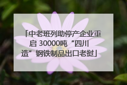 中老班列助停产企业重启 30000吨“四川造”钢铁制品出口老挝