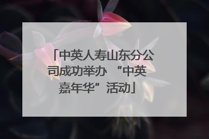中英人寿山东分公司成功举办 “中英嘉年华”活动