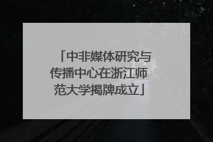 中非媒体研究与传播中心在浙江师范大学揭牌成立