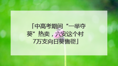 中高考期间“一举夺葵”热卖，六安这个村7万支向日葵售罄