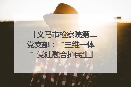 义马市检察院第二党支部：“三维一体”党建融合护民生