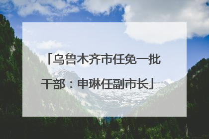 乌鲁木齐市任免一批干部：申琳任副市长