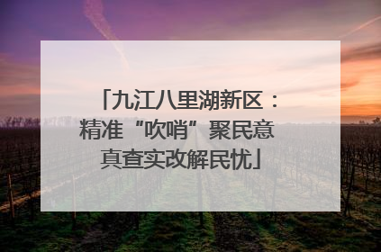 九江八里湖新区：精准“吹哨”聚民意 真查实改解民忧