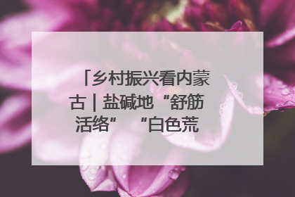 乡村振兴看内蒙古｜盐碱地“舒筋活络” “白色荒漠”长出吨粮田