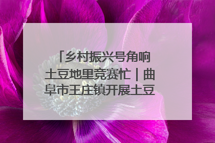 乡村振兴号角响 土豆地里竞赛忙｜曲阜市王庄镇开展土豆收获劳动竞赛