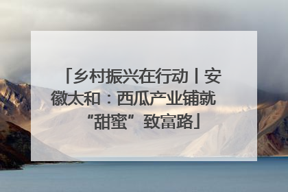 乡村振兴在行动丨安徽太和：西瓜产业铺就“甜蜜”致富路