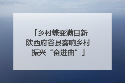 乡村蝶变满目新 陕西府谷县奏响乡村振兴“奋进曲”