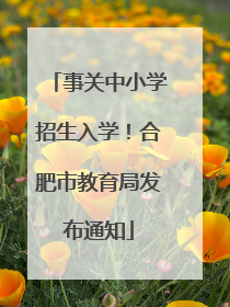 事关中小学招生入学！合肥市教育局发布通知