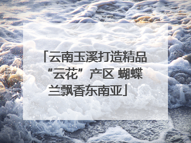 云南玉溪打造精品“云花”产区 蝴蝶兰飘香东南亚