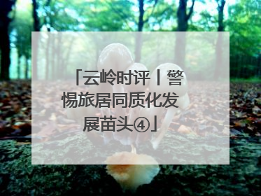 云岭时评丨警惕旅居同质化发展苗头④