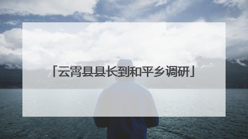 云霄县县长到和平乡调研