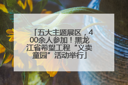 五大主题展区，400余人参加！黑龙江省希望工程“义卖童园”活动举行