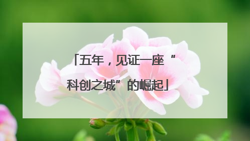 五年，见证一座“科创之城”的崛起
