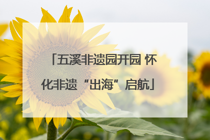 五溪非遗园开园 怀化非遗“出海”启航