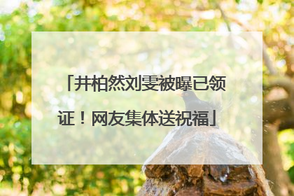 井柏然刘雯被曝已领证！网友集体送祝福