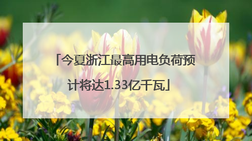 今夏浙江最高用电负荷预计将达1.33亿千瓦