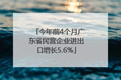 今年前4个月广东省民营企业进出口增长5.6%