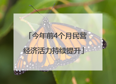 今年前4个月民营经济活力持续提升