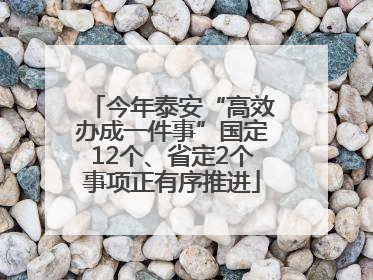 今年泰安“高效办成一件事”国定12个、省定2个事项正有序推进