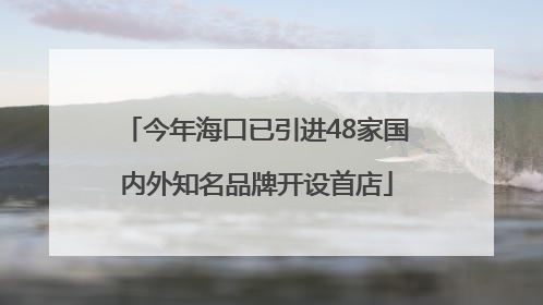 今年海口已引进48家国内外知名品牌开设首店
