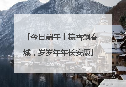 今日端午丨粽香飘春城，岁岁年年长安康